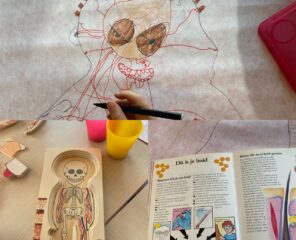 Groep 3 doet onderzoek